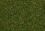 Wild grass ground cover fibres, Summer. gab. 4.50 €